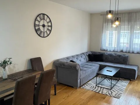 Izdavanje, jednosoban stan, 50m², Central Point, Podgorica - image 11