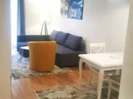 Izdavanje, jednosoban stan, 43m², Central Point, Podgorica - image 2