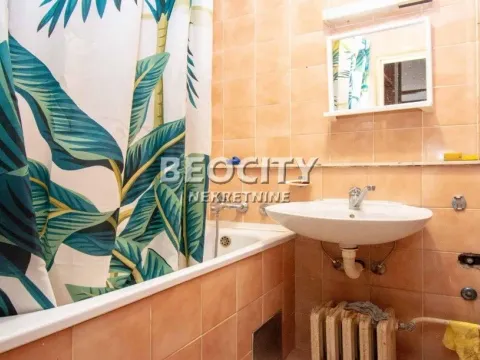 Rent, three bedroom apartment, 91m², Višnjička Banja, Palilula Sve Podlokacije - image 11