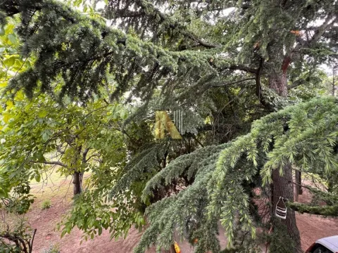 Prodaja, kuća, 59m², Inđija, Srbija - image 8