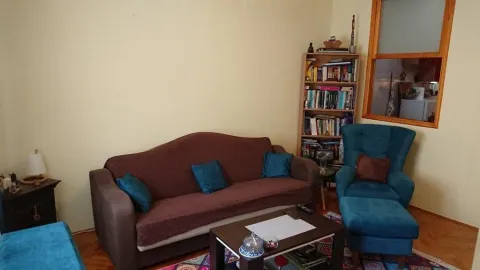 Living room with a brown sofa, blue armchair, and a bookshelf. - image 7