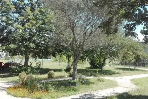 Prostrano dvorište sa zelenilom, drvećem i popločanim stazama. - image 4