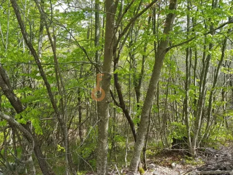 Prodaja, plac, 189352m², Cetinje, Crna Gora - image 14