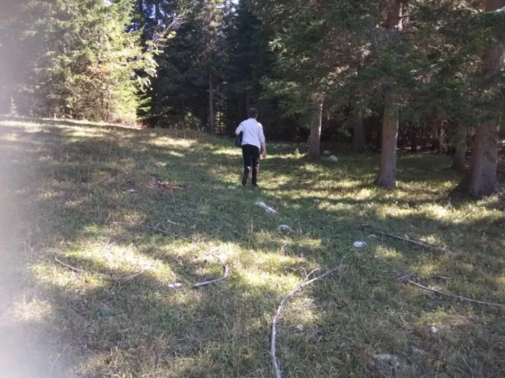 Prodaja, plac, 17803m², Podgora, Žabljak
