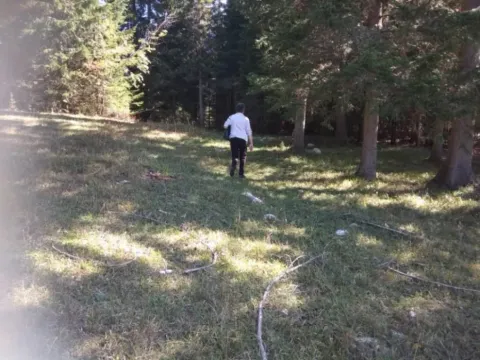 Sale, land lot, 17803m², Podgora, Žabljak - image 8