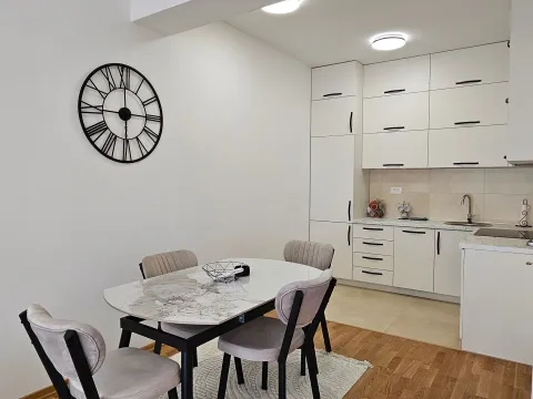 Izdavanje, jednosoban stan, 47m², Zabjelo, Podgorica - image 4