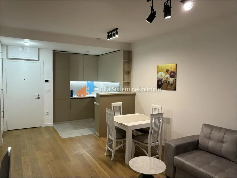 Izdavanje, dvosoban stan, 48m², Novi Beograd Sve Podlokacije, Beograd