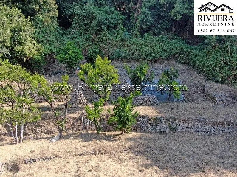 Prodaja, kuća, 160m², Savina, Herceg Novi