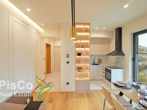 Izdavanje, jednosoban stan, 45m², Zagorič, Podgorica - image 10