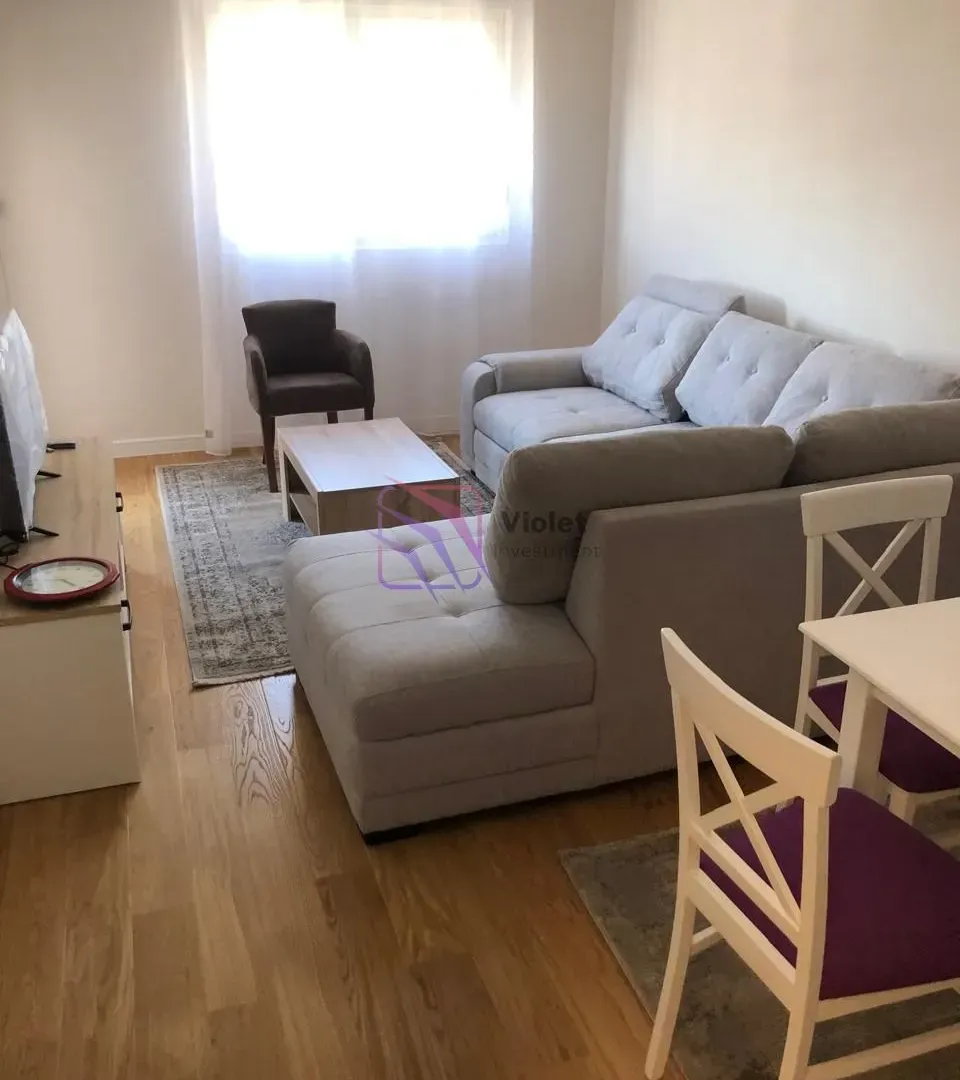Izdavanje, jednosoban stan, 46m², Central Point, Podgorica
