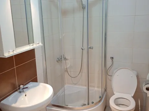 Izdavanje, dvosoban stan, 38m², Palilula Sve Podlokacije, Beograd - image 12