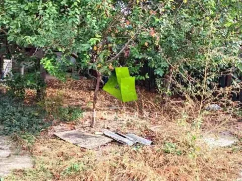 Prodaja, kuća, 50m², Pantelej, Niš - image 8