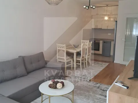 Izdavanje, jednosoban stan, 46m², Central Point, Podgorica - image 2