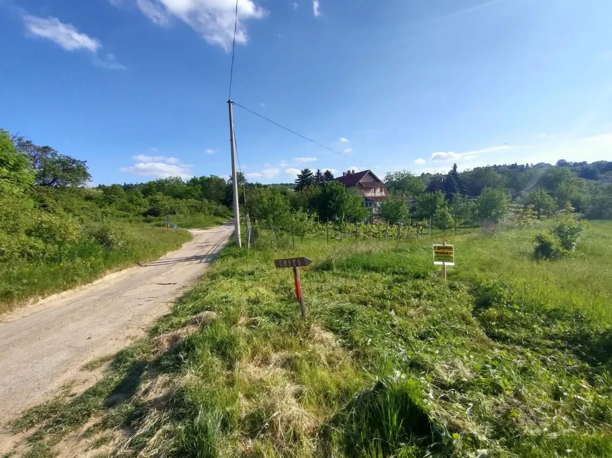 Prodaja, plac, 5000m², Ledinci, Petrovaradin