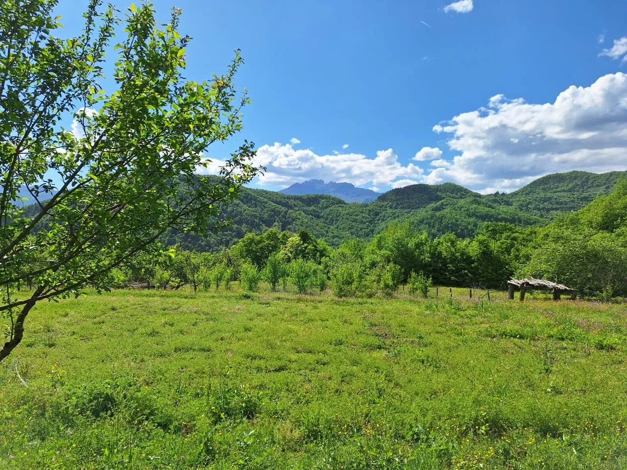 Prodaja, plac, 15508m², Kolašin, Crna Gora