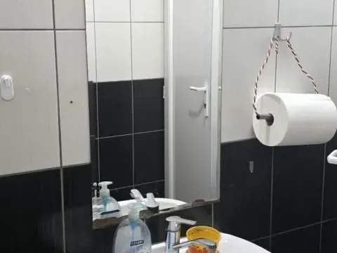 Izdavanje, poslovni prostor, 770m², Veternik, Novi Sad Sve Podlokacije - image 7