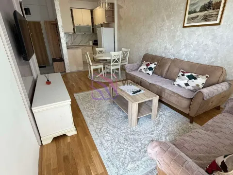 Izdavanje, jednosoban stan, 47m², Zagorič, Podgorica - image 1