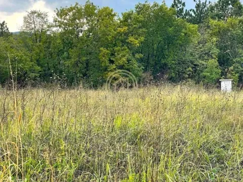 Prodaja, plac, 2500m², Sremska Kamenica, Petrovaradin - image 6