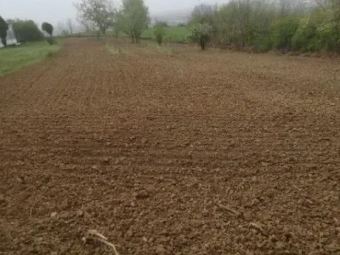 Prodaja, kuća, 187m², Mislodjin, Obrenovac - image 12