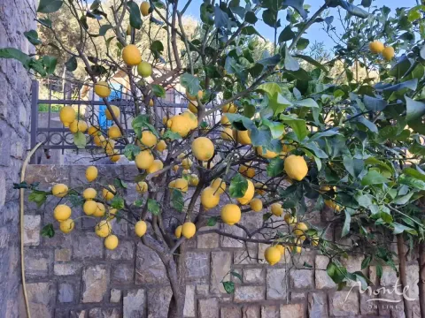 Sale, house, 116m², Reževići, Budva - image 38