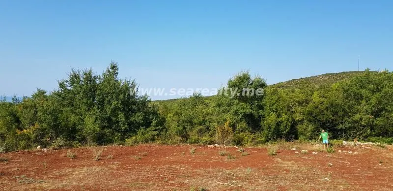Prodaja, plac, 5600m², Krimovica, Kotor