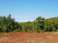 Prodaja, plac, 5600m², Krimovica, Kotor - image 9