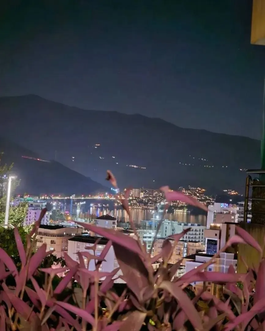 Prodaja, jednosoban stan, 28m², Budva okolina, Budva