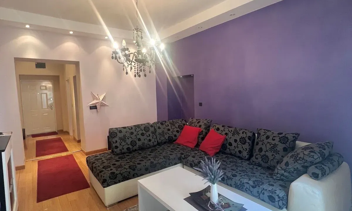 Izdavanje, dvosoban stan, 51m², Vračar Sve Podlokacije, Beograd