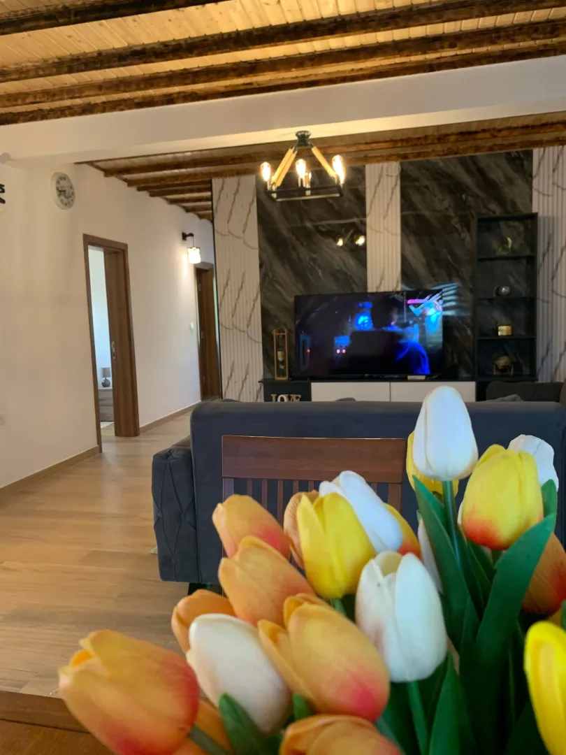 Living room with sofa, television, and wooden beams on the ceiling.