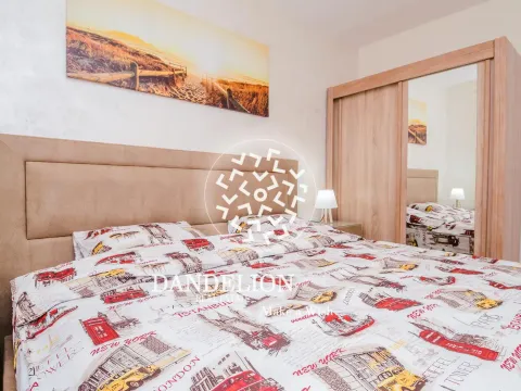 Izdavanje, jednosoban stan, 50m², Central Point, Podgorica - image 14