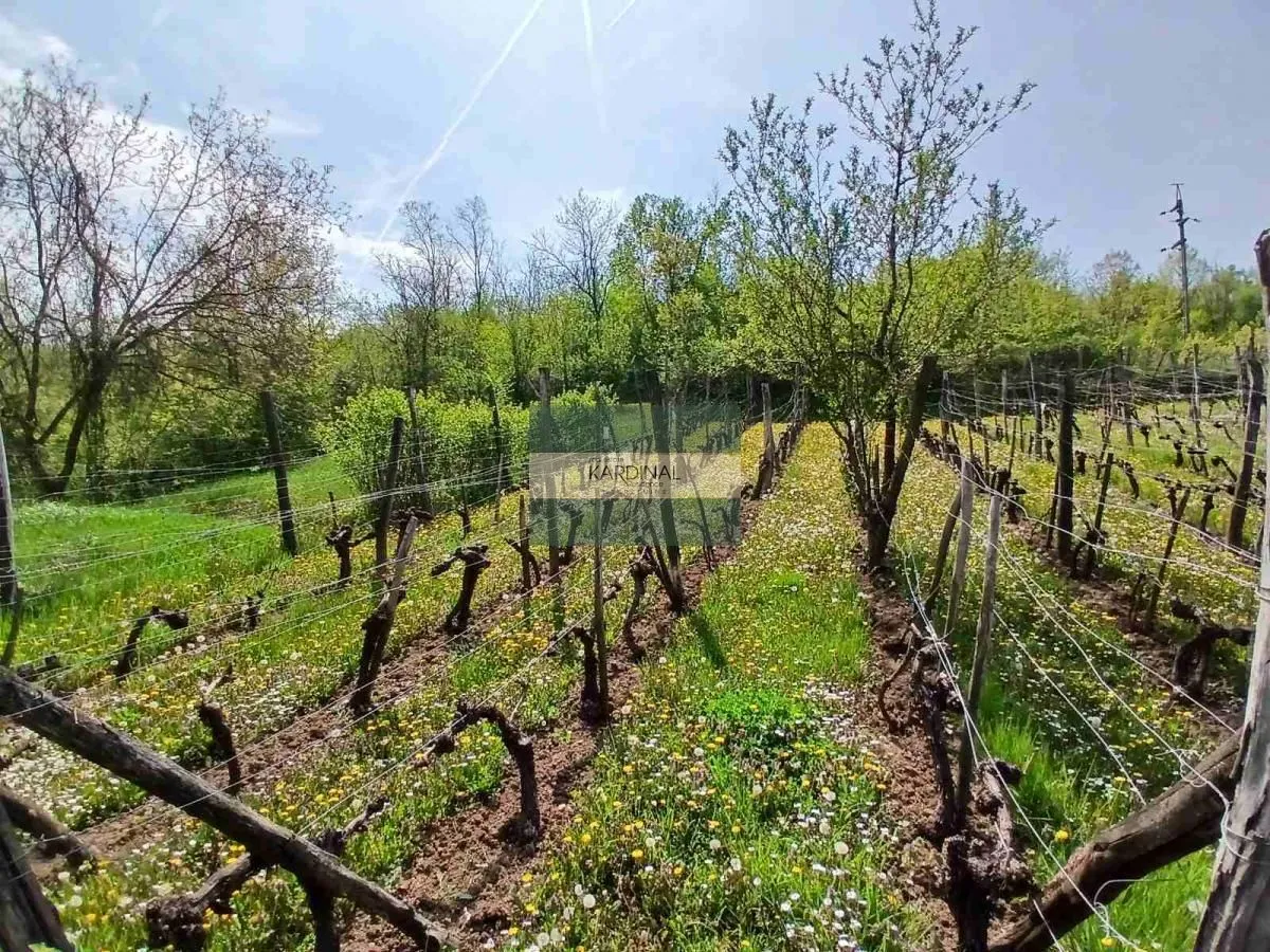 Prodaja, plac, 1258m², Majur, Jagodina