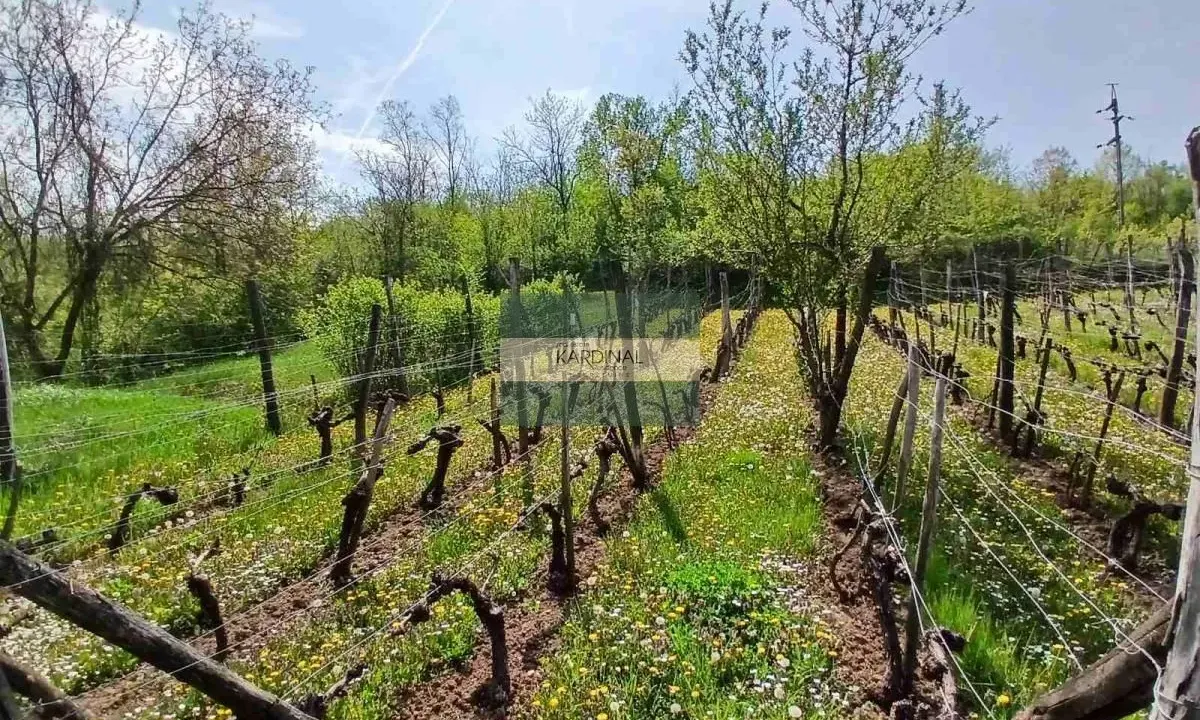 Prodaja, plac, 1258m², Majur, Jagodina