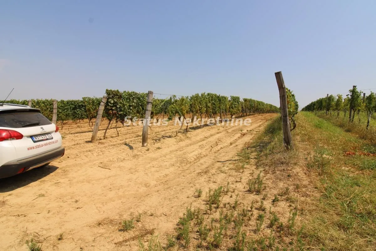 Prodaja, plac, 4502m², Beočin, Srbija