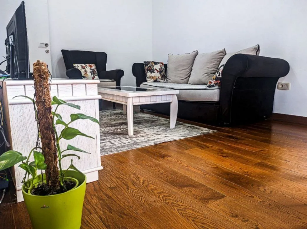 Izdavanje, jednosoban stan, 45m², Stara Varoš, Podgorica