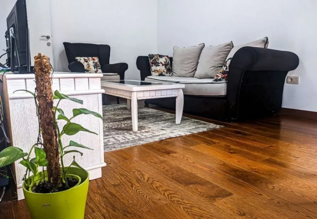 Izdavanje, jednosoban stan, 45m², Stara Varoš, Podgorica