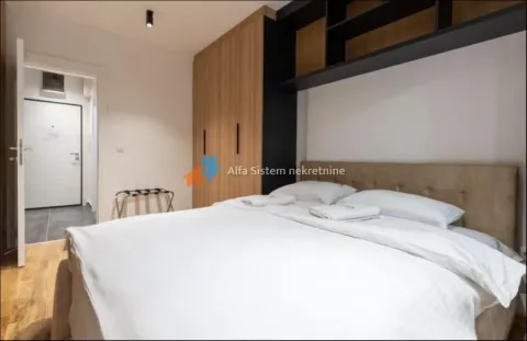 Izdavanje, dvosoban stan, 55m², Vračar Sve Podlokacije, Beograd - image 17