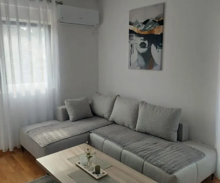 Izdavanje, dvosoban stan, 61m², Zagorič, Podgorica