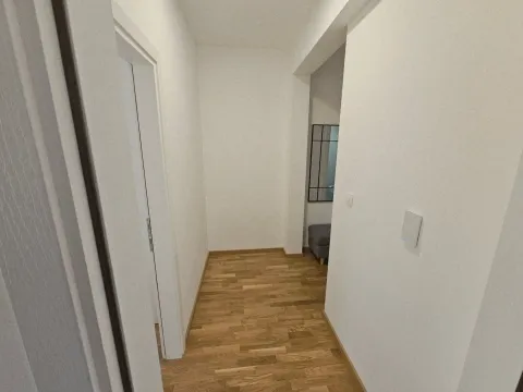 Izdavanje, jednosoban stan, 47m², Zagorič, Podgorica - image 9