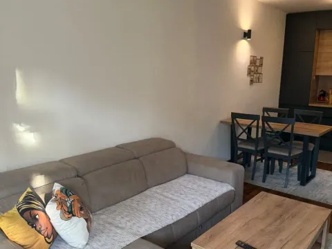 Izdavanje, jednosoban stan, 50m², Master Kvart, Podgorica - image 10