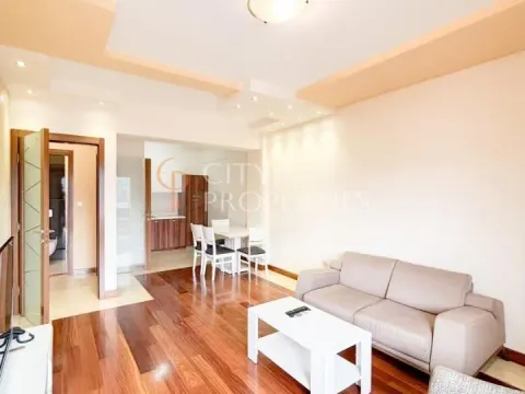 Izdavanje, stan, 75m², Centar, Podgorica - image 3