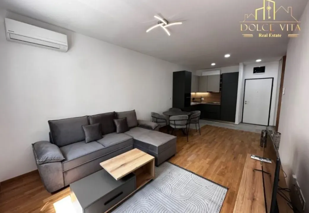 Izdavanje, jednosoban stan, 45m², Stari Aerodrom, Podgorica