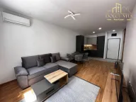 Izdavanje, jednosoban stan, 45m², Stari Aerodrom, Podgorica - image 1