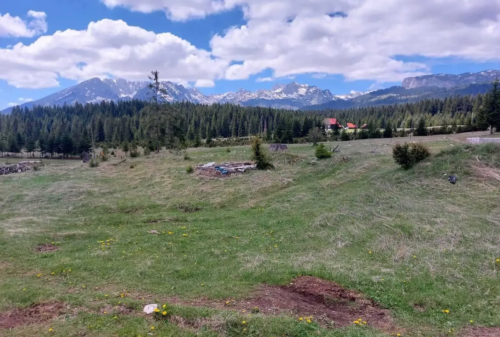 Prodaja, plac, 17505m², Žabljak, Crna Gora
