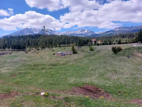 Prodaja, plac, 17505m², Žabljak, Crna Gora - image 7