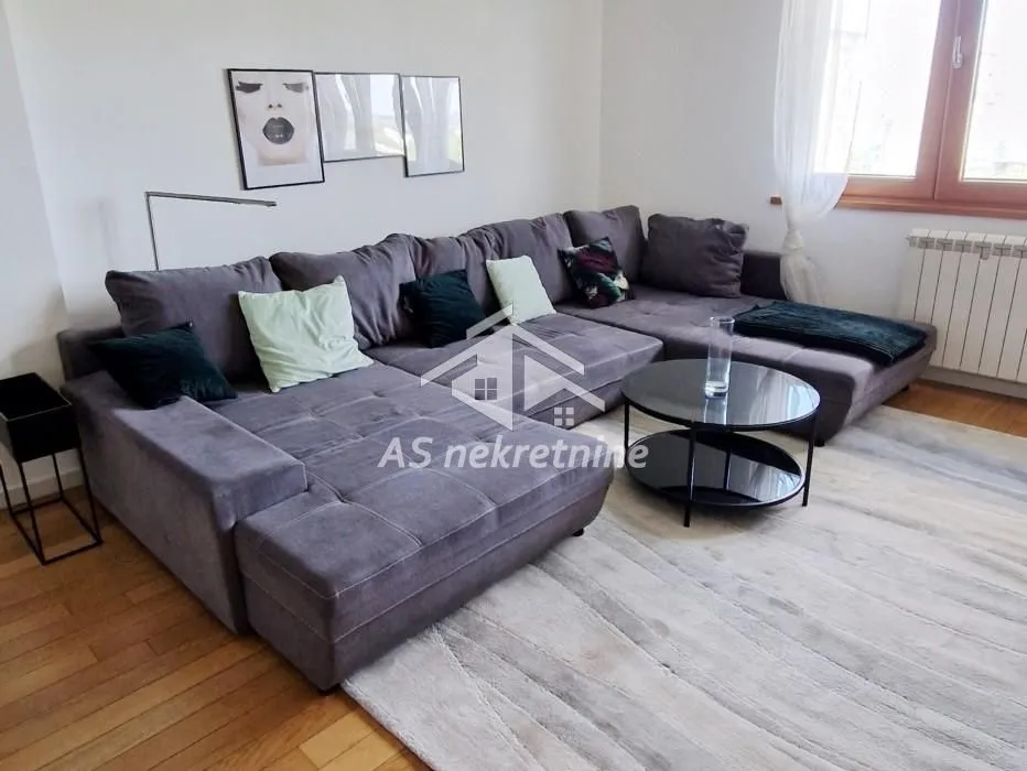 Izdavanje, dvosoban stan, 55m², Novi Beograd Blok 67, Novi Beograd Sve Podlokacije