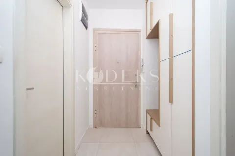 Izdavanje, jednosoban stan, 46m², Central Point, Podgorica - image 10
