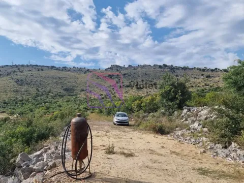 Zemljište in Tološi