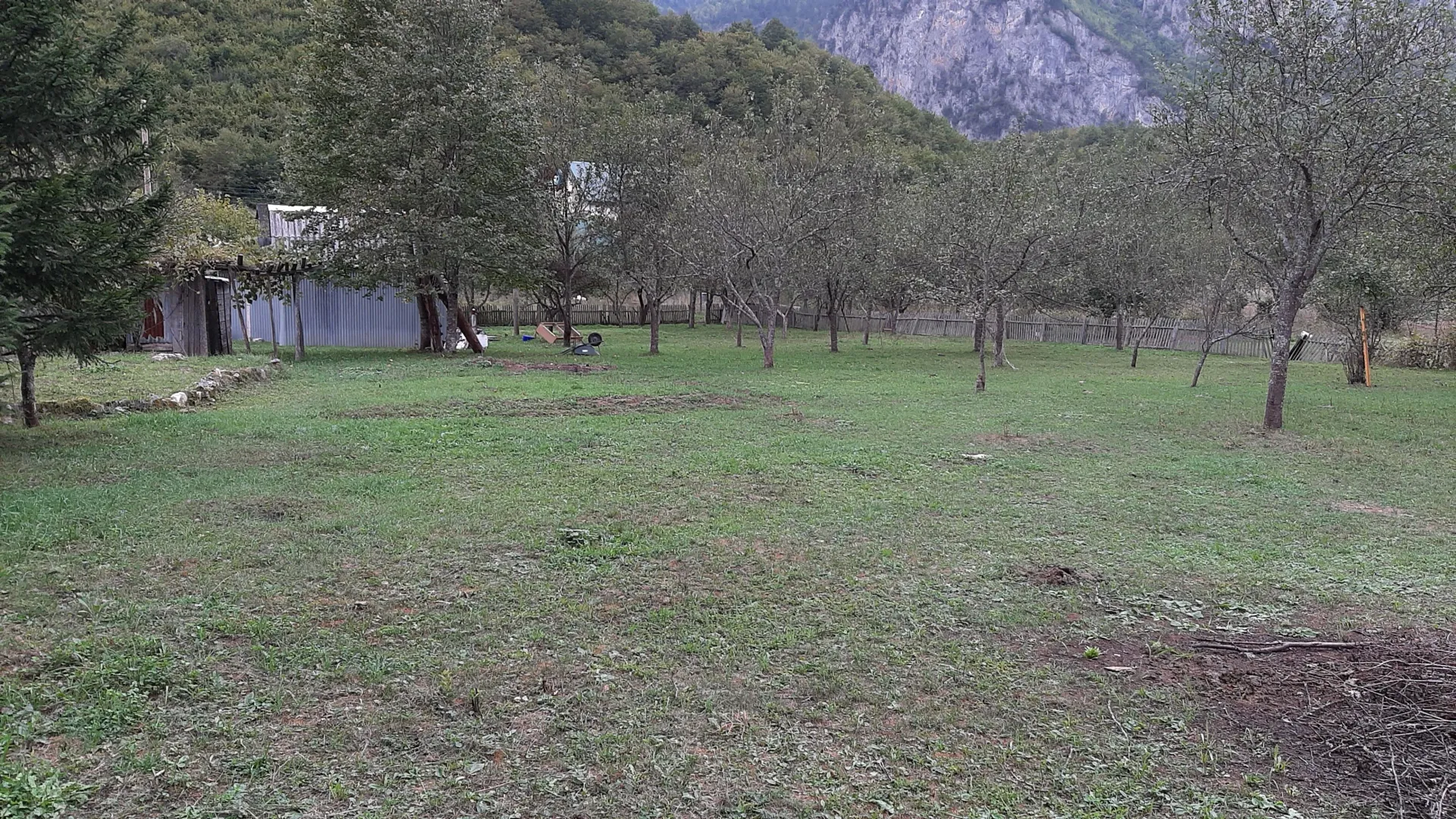 Prodaja, plac, 4000m², Dobrilovina, Mojkovac