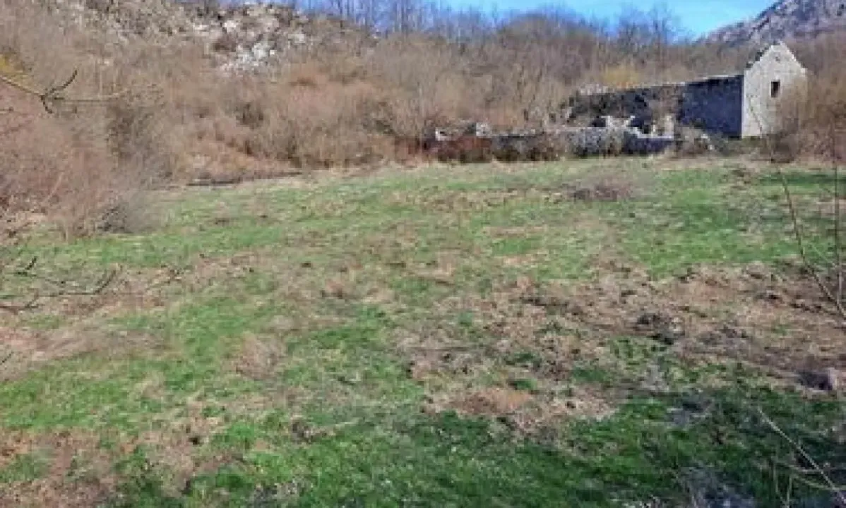 Sale, land lot, 93700m², Risan, Kotor