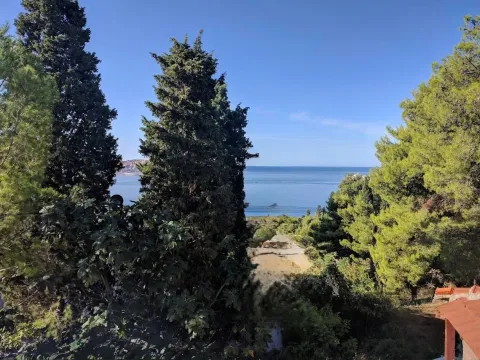 Zemljište in Zeleni Pojas